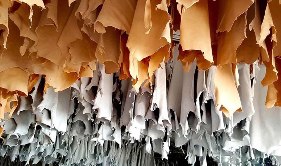 Quality Leather Inspection