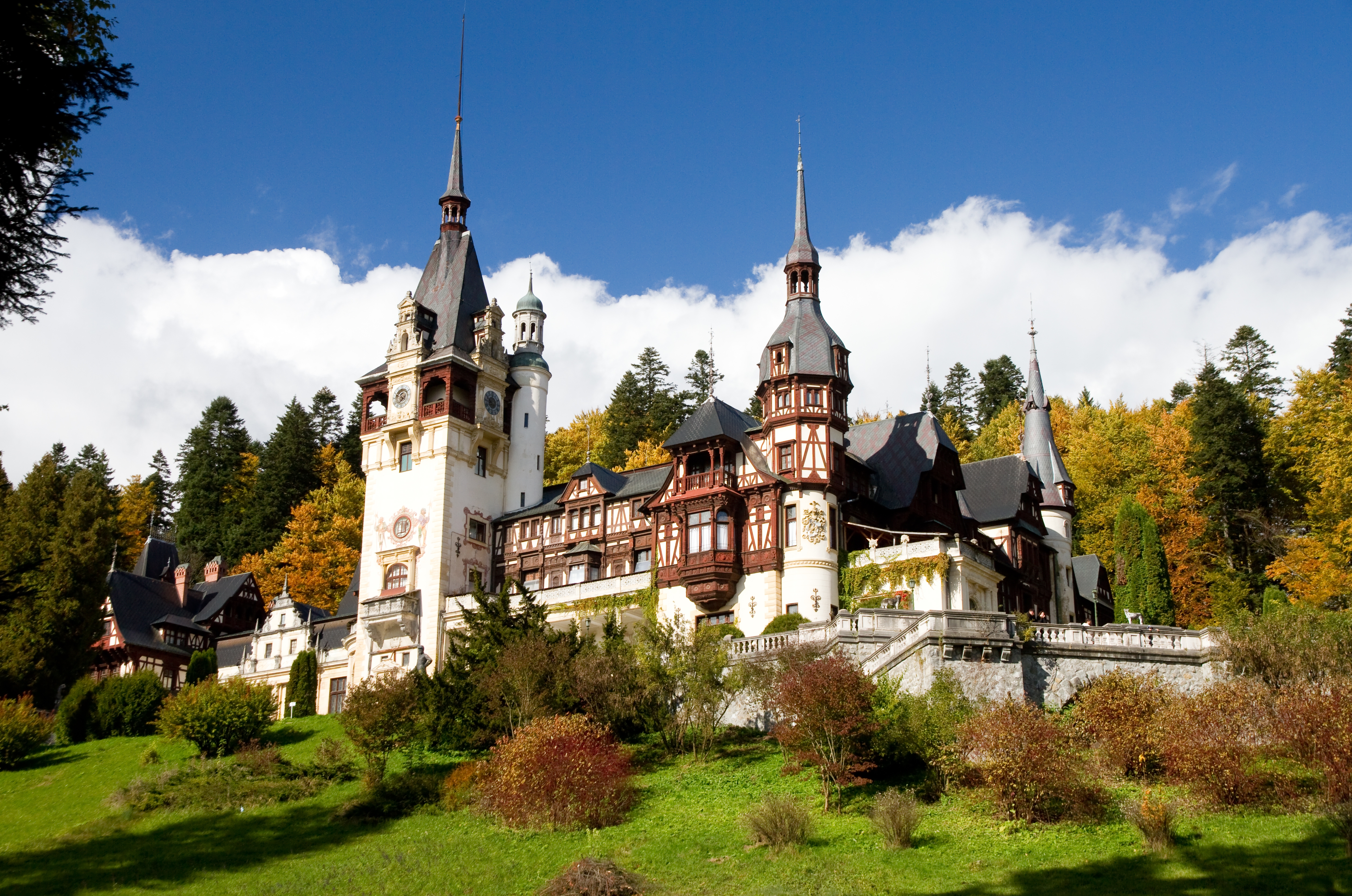 German Automotive Leather Industry