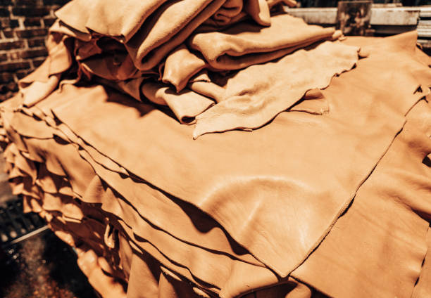 Soft Goat Leather Texture